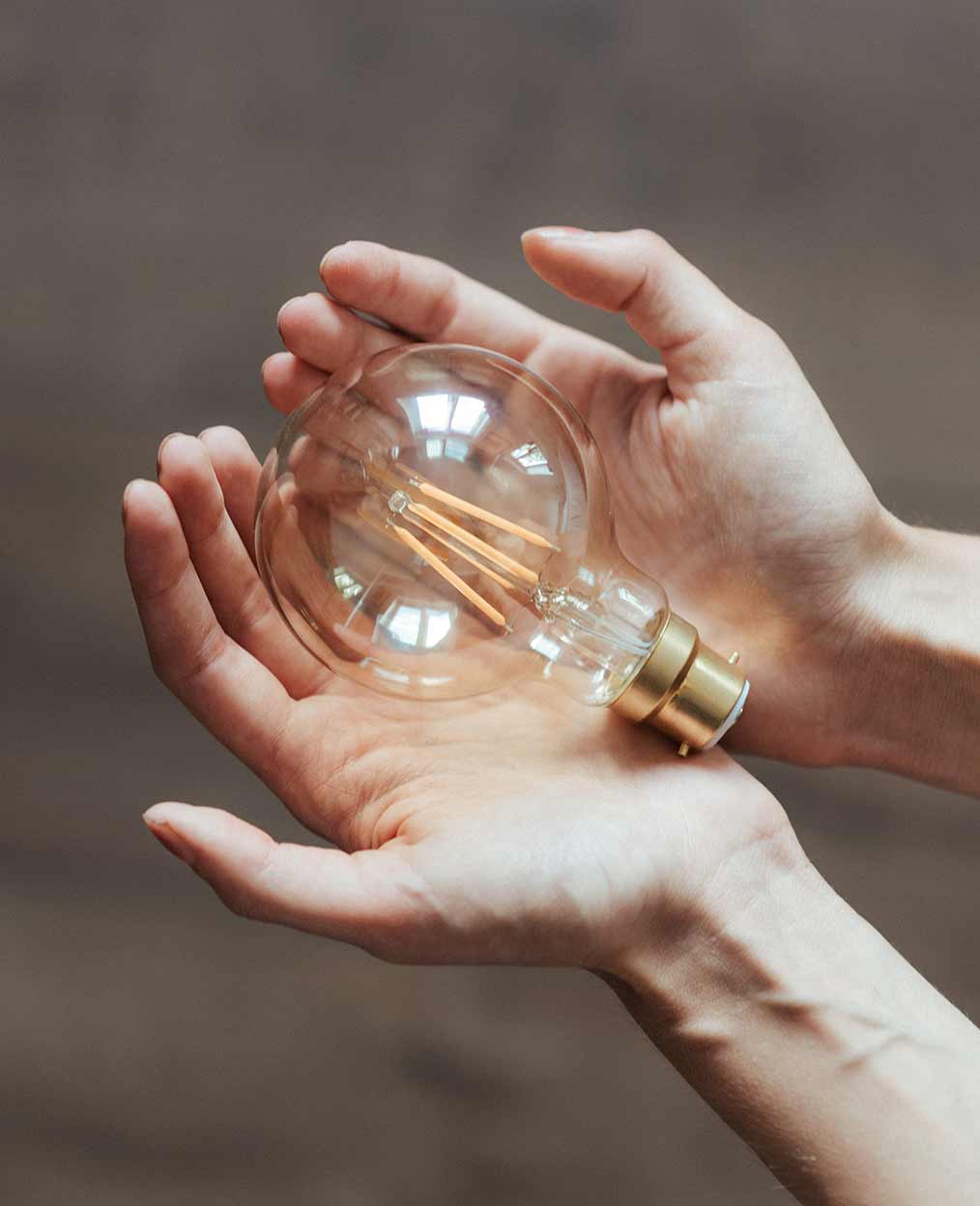 Hands Holding Light Bulb