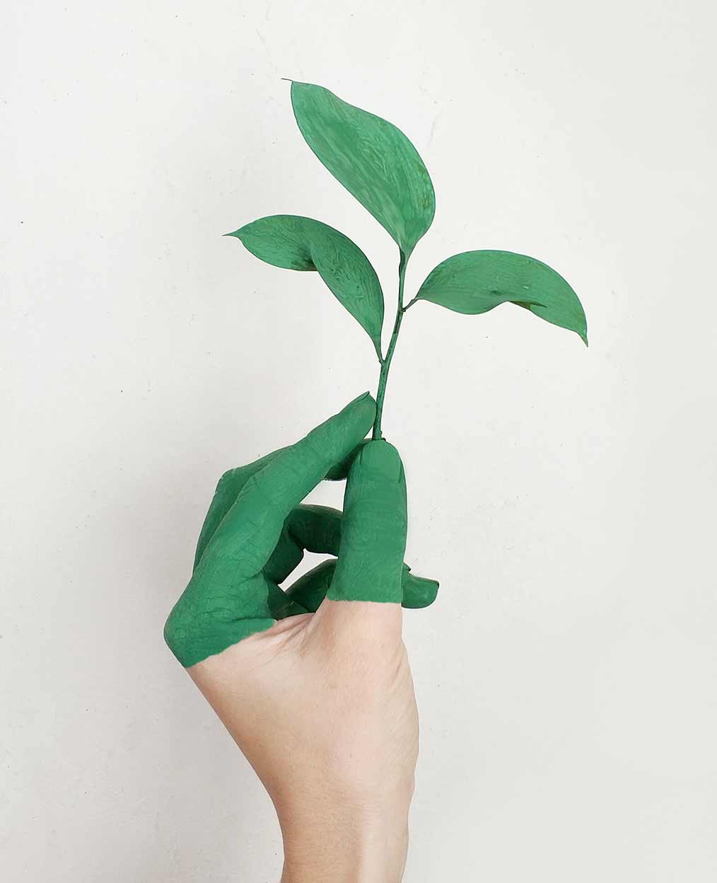 Green Fingers Holding Small Plant